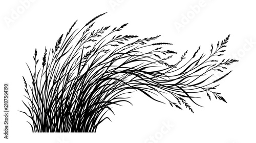 Foto Tall grass sways dynamically to the right in a black and white silhouette, depicting movement and natural flow against a plain white background