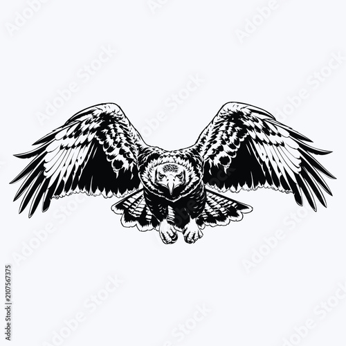 Majestic Eagle Landing Silhouette Vector Illustration Flying Bird of Prey Wildlife Raptor with Spread Wings