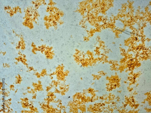 Quadro su tela Rusted metal surface texture background with orange corrosion patterns