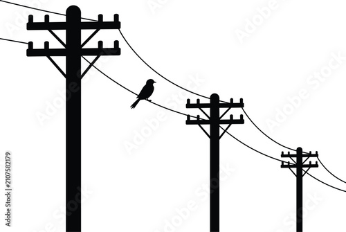 Silhouette of three utility poles with power lines and a single bird perched on one of the wires against white