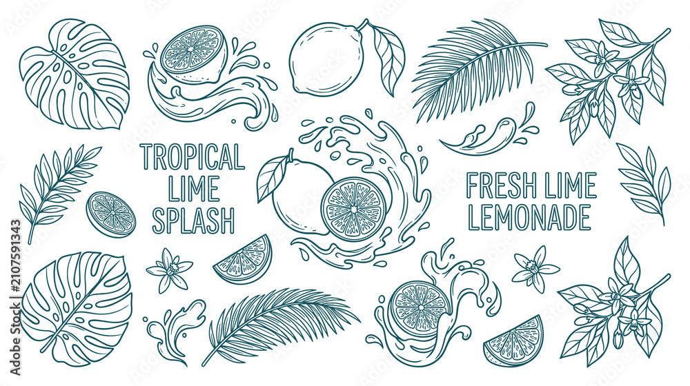 Obraz premium Set of refreshing tropical lime elements and splash illustrations.