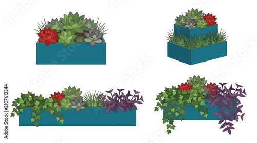 Bild auf Leinwand Succulent arrangements in teal planters vector illustration on white background