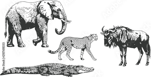 Vintage engraving style wild animals in a unique composition during a conceptual safari adventure