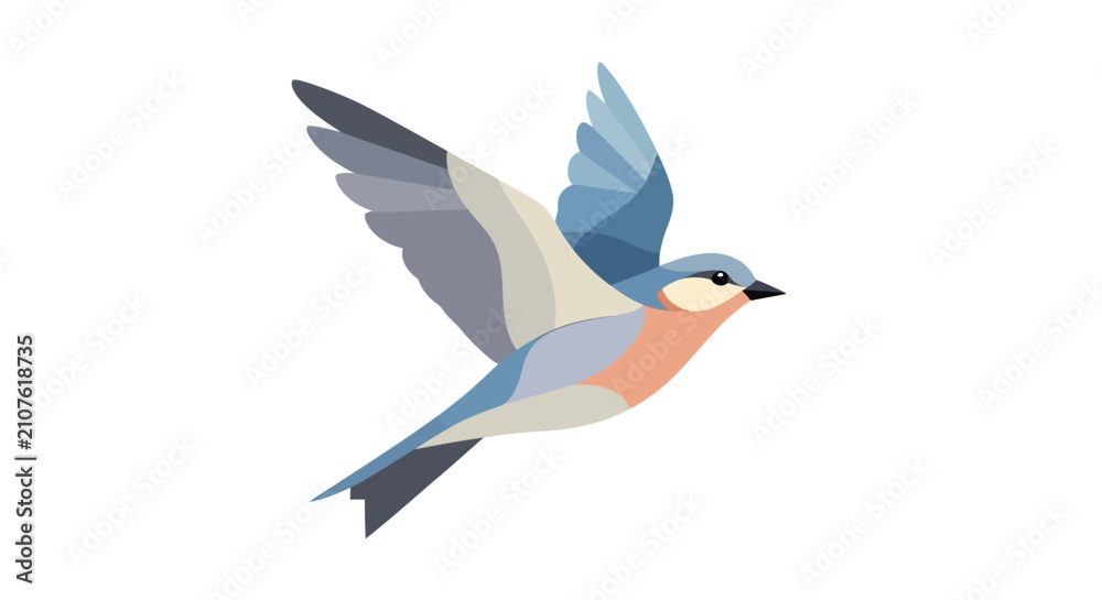 Fototapeta premium A beautiful blue and pink bird in flight with wings spread wide.