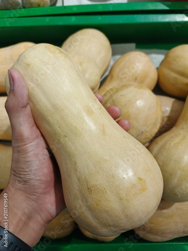 Close-up of a fresh butternut squash being held by hand at a local vegetable market. The image highlights the natural texture, smooth skin, and organic appearance of this healthy autumn vegetable