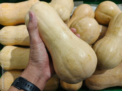 Close-up of a fresh butternut squash being held by hand at a local vegetable market. The image highlights the natural texture, smooth skin, and organic appearance of this healthy autumn vegetable