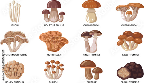 Bild auf Leinwand Autumn forest foraging vector set with flat design wicker basket rubber boots a