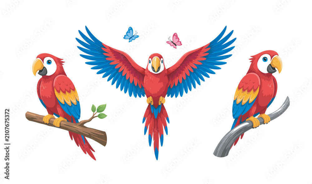Fototapeta premium Set of scarlet macaw parrot vector illustrations featuring flying and perched tropical birds