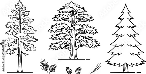 Quadro su tela Tree vector icon set featuring pine fir oak conifer branch pinecone line art iso