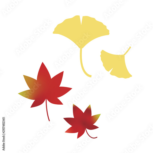 Obraz na płótnie 紅葉とイチョウの葉のイラストセット