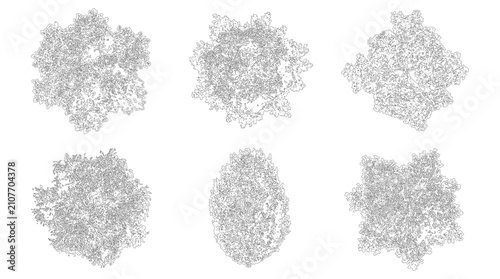 Konstfotografi Set of six top view trees isolated on transparent background cutout