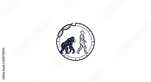 Foto A circular icon showing the biological progression of a primate into a human bei