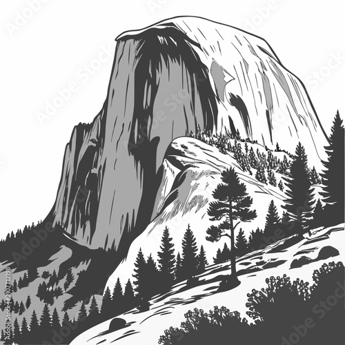 Black and white ink of the iconic half dome granite mountain peak in yosemite national park with pine trees in the foreground