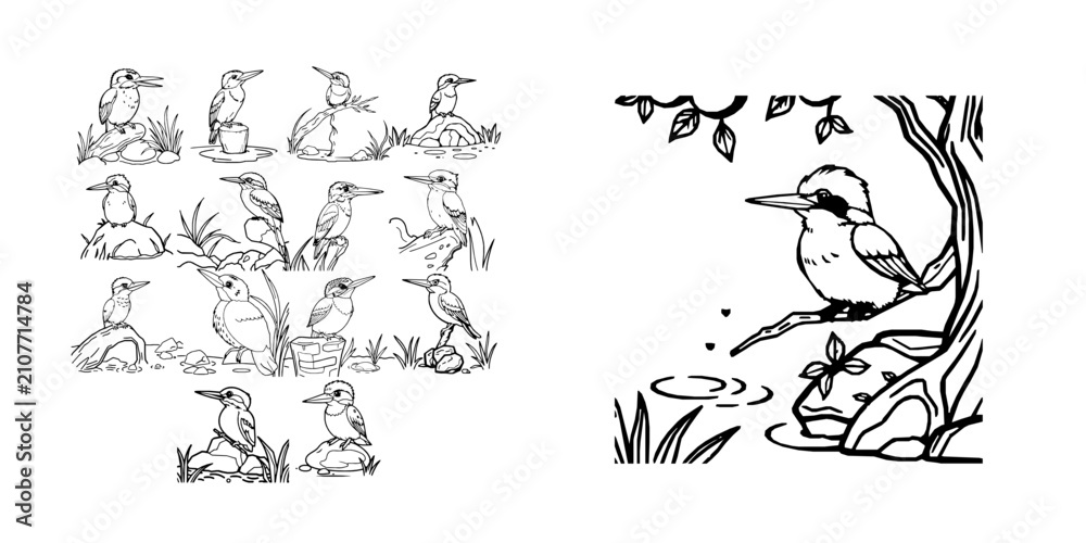 Obraz premium Happy Kingfisher Sitting Above A Stream Simple Black Outline Coloring Page Thick Clean Lines Bold Coloring Page Kid Drawing Pack