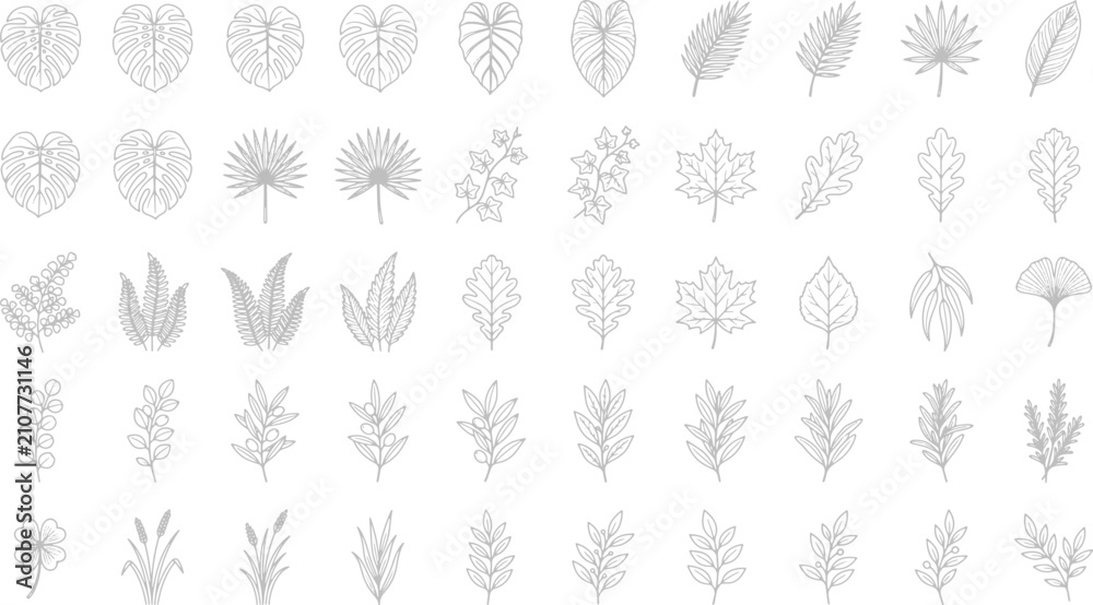 Fototapeta premium Hand drawn botanical leaf collection featuring various tropical and forest foliage elements in a simple line art style