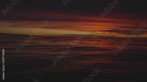 Perfect Ocean Sunrise with Albatros Moody scene. 