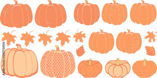 Canvastavla Orange pumpkins squash and maple leaves vector illustration on white background