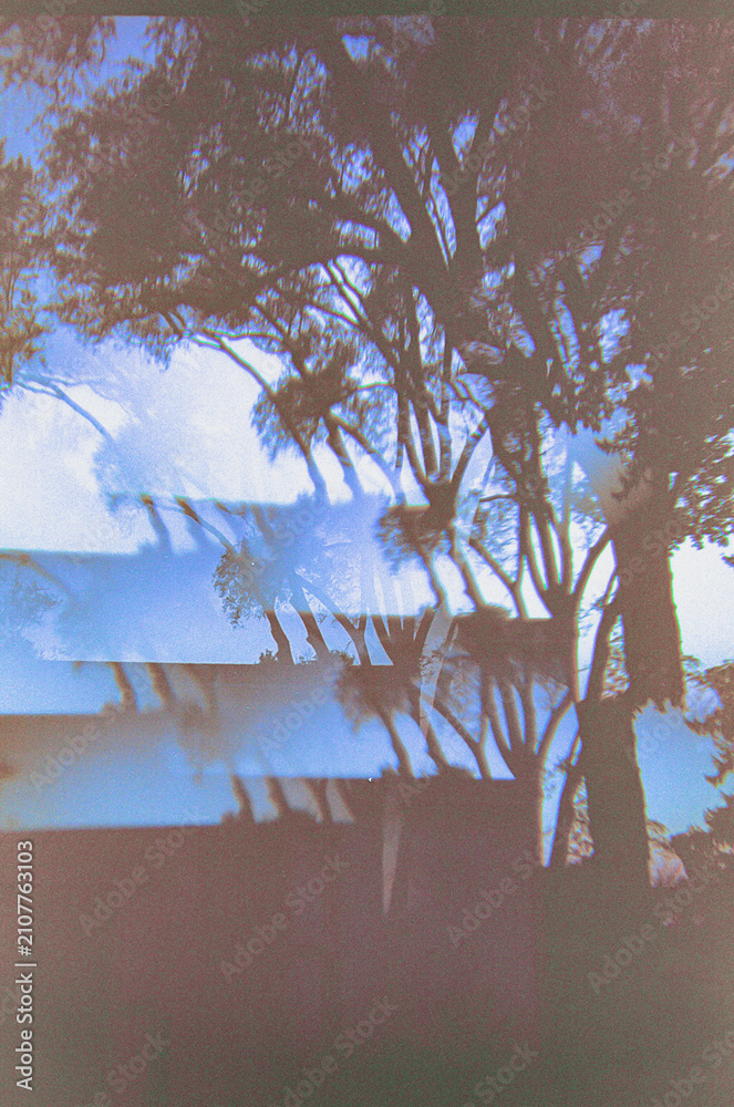 Obraz premium Distorted glitchy trees against a blue sky