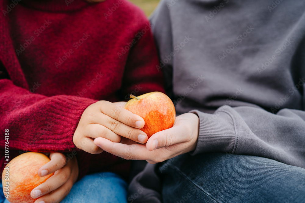 Naklejka premium Close-up of children sharing fresh apples