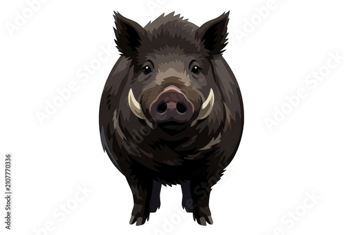 Wild Boar Illustration Isolated Transparent Background