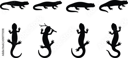 Obraz na plátně Lizard and Gecko Silhouette Collection with Crawling Climbing and Reptile Poses