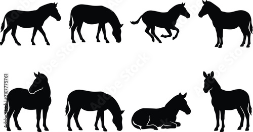 Konstfotografi Horse and Donkey Silhouette Collection with Standing Grazing Running and Resting