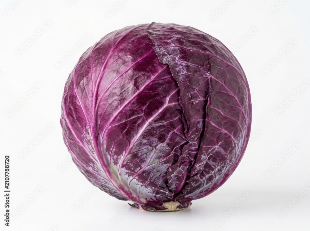 Fototapeta premium Fresh red cabbage head on white background healthy vegetable produce