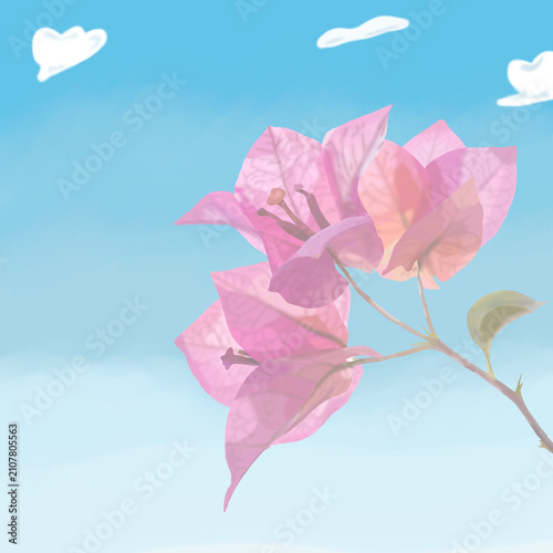 Schilderij op canvas A vivid pink bougainvillaea flowers  set hand painted in seamless watercolor branch in full bloom against a clear blue sky with soft white clouds creating a serene and colorful composition
