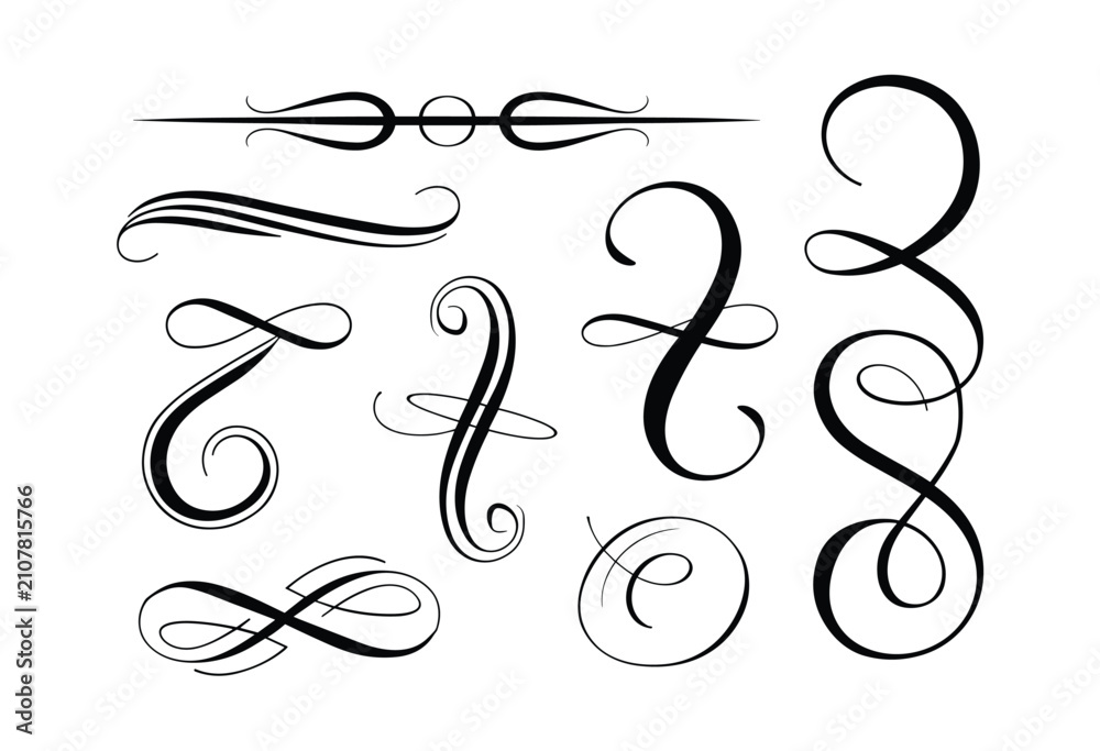 Fototapeta premium Ornate Swirls and Flourishes: A collection of elegant, decorative swirls and flourishes, rendered in a classic black and white calligraphy style.