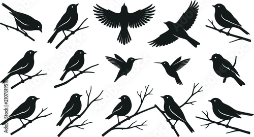 Bilde på lerret Little bird silhouette set with sparrow, hummingbird, and songbird perched on br