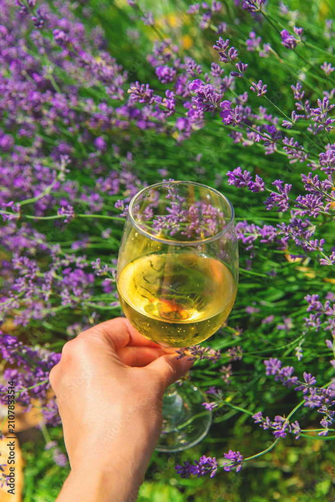 Obraz premium Wine in a lavender field. Selective focus.