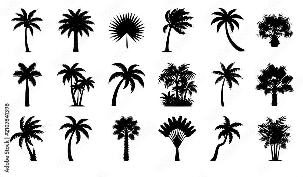 Naklejka premium Black Palm Tree Silhouette Vector Set with Tropical Coconut Fan and Island Tree Collection