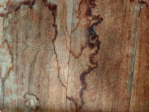 Unique antique wood plank with striking water profile stains. Great vintage backdrop