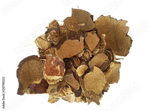 Foto Pile of dried broken coconut shell fragments isolated on transparent background
