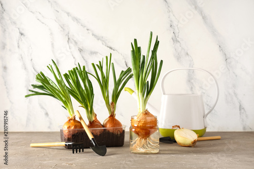 Plastic container and jar, ...