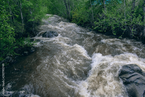 Foto Rapid mountain river with churning water and green forest banks