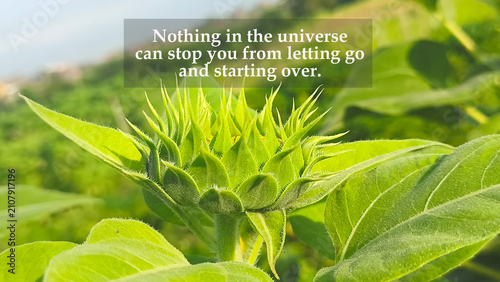 Obraz na płótnie Inspirational motivational quote - Nothing in the universe can stop you from letting go and starting over