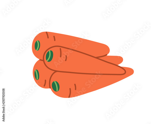 Carrots pile, orange carotene vegetables heap. Fresh vitamin food. Natural or...