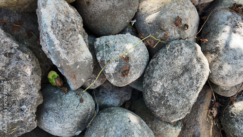 Stones covered with moss and lichen resting on a bed of pebbles creating a natural texture