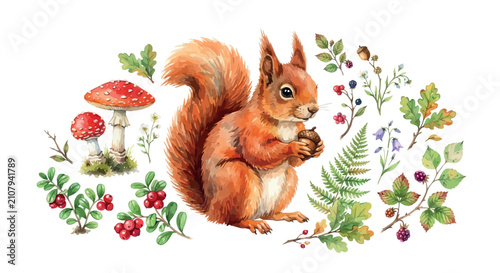 Obraz na płótnie Watercolor Squirrel Illustration With Forest Elements And Berries
