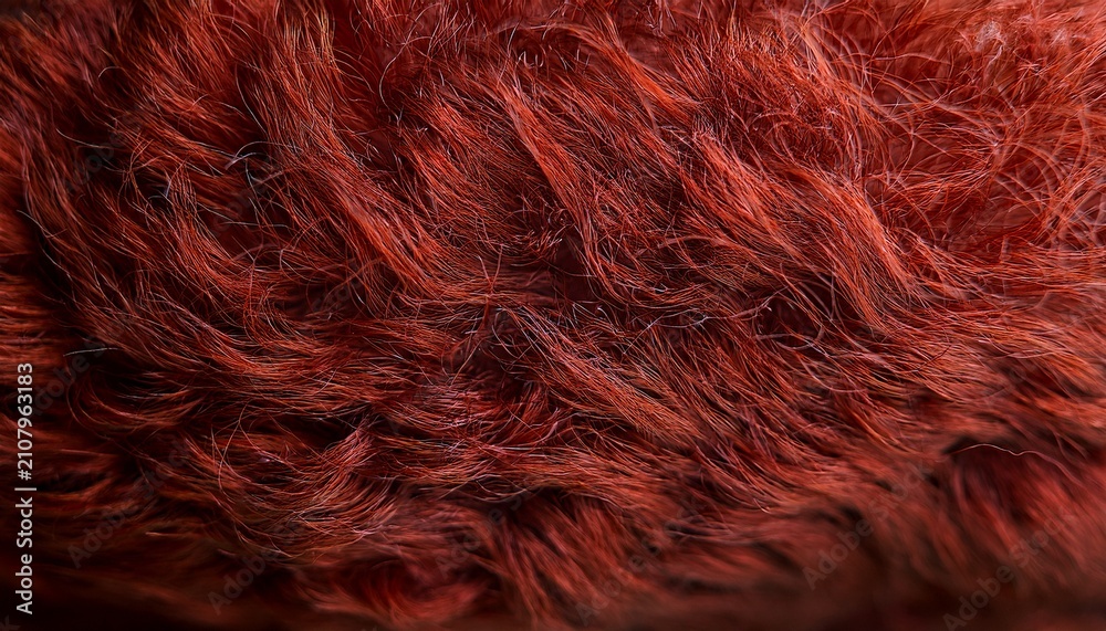 Fototapeta premium Reddish Brown Fibrous Organic Matte Surface Texture Background With Soft Focus Depth Of Field For Copy Space Earthy And Detailed