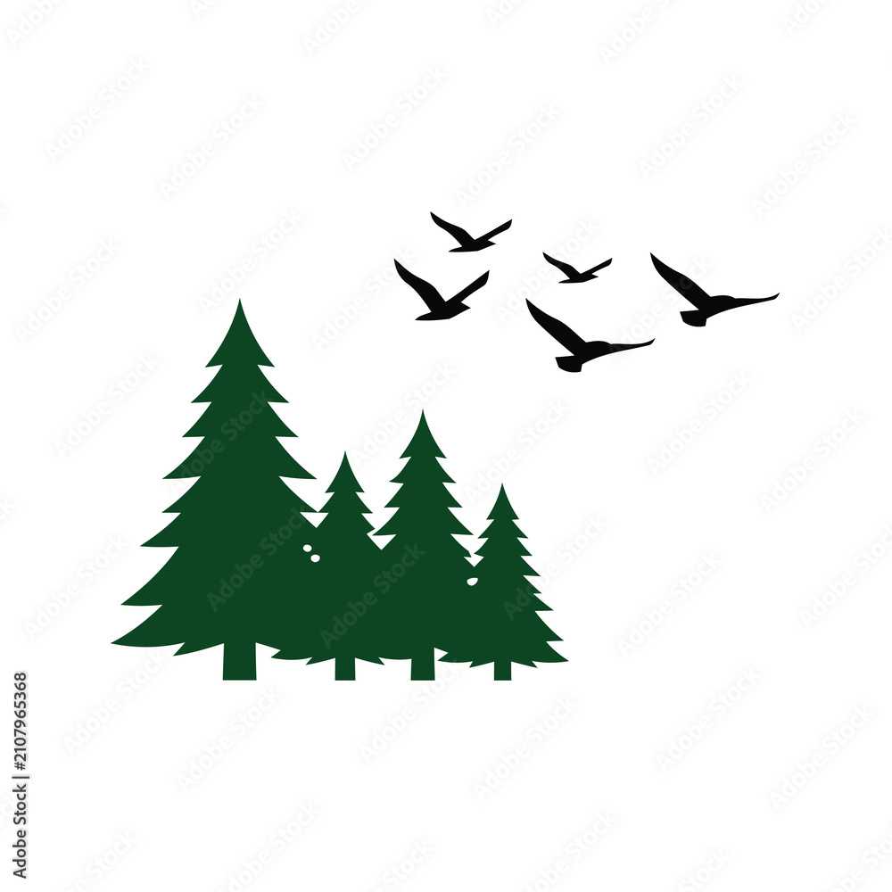 Obraz premium Evergreen Forest with Flying Birds Silhouette Nature Vector Illustration