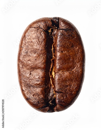 A single, roasted coffee bean, rich brown, with a prominent central crack