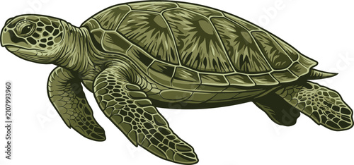 Detailed Sea Turtle Vector Illustration in Shades of Green for Marine Wildlife Concepts, Ocean Conservation Graphics, and Nature Travel Apparel Designs