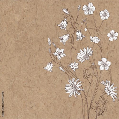 Luxury design with chamomile, bluebell, buttercup and place for text on kraft paper. Template design for text, packaging and prints. Floral background vector.