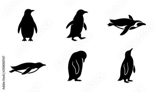Schilderij op canvas Penguin Silhouettes Set: Antarctic Birds in Various Poses, Vector Icons for Wild