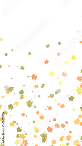 Foto Falling autumn maple leaves frame overlay isolated on transparent background