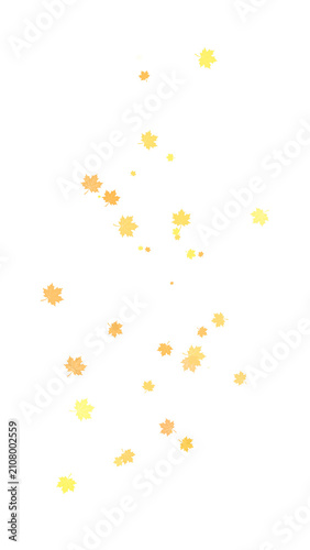Quadro su tela Minimalist falling yellow maple leaves stream isolated on transparent background