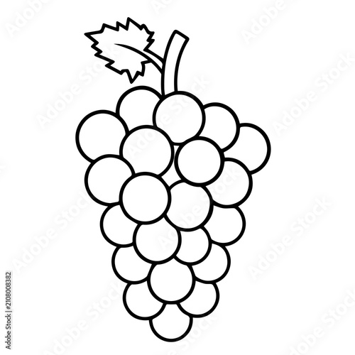 Tableau sur toile bunch of grapes