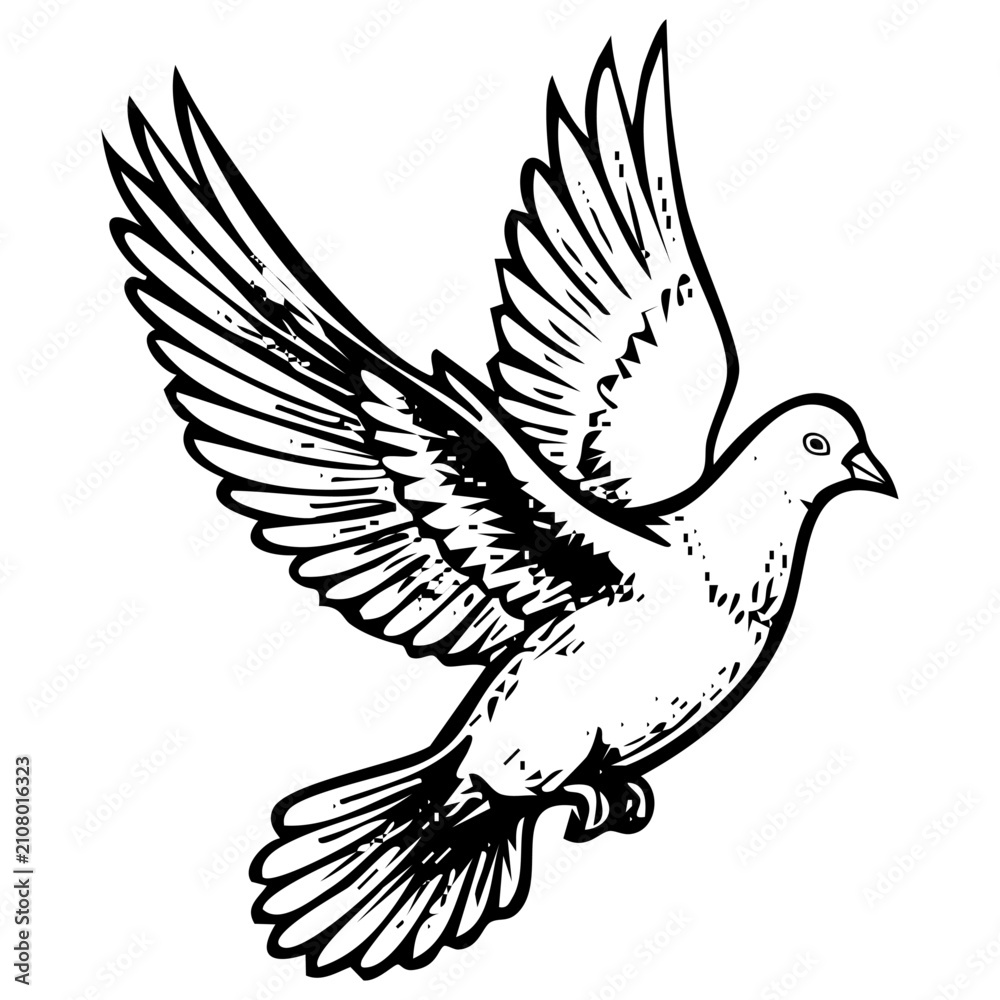 Fototapeta premium Flying white dove bird illustration